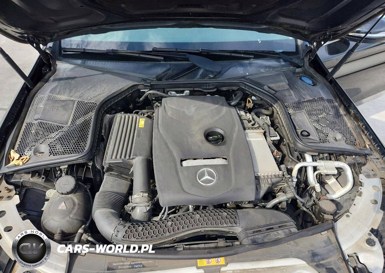 2017 Mercedes-Benz C 300 VIN:55SWF4JBXHU233203 - 11