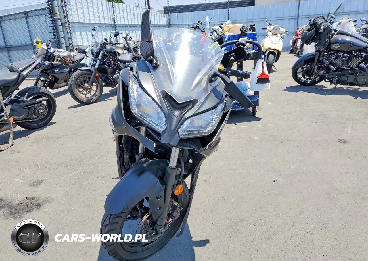 2025 Feng Dragon VIN:H0DTAEG59SX908206 - 2