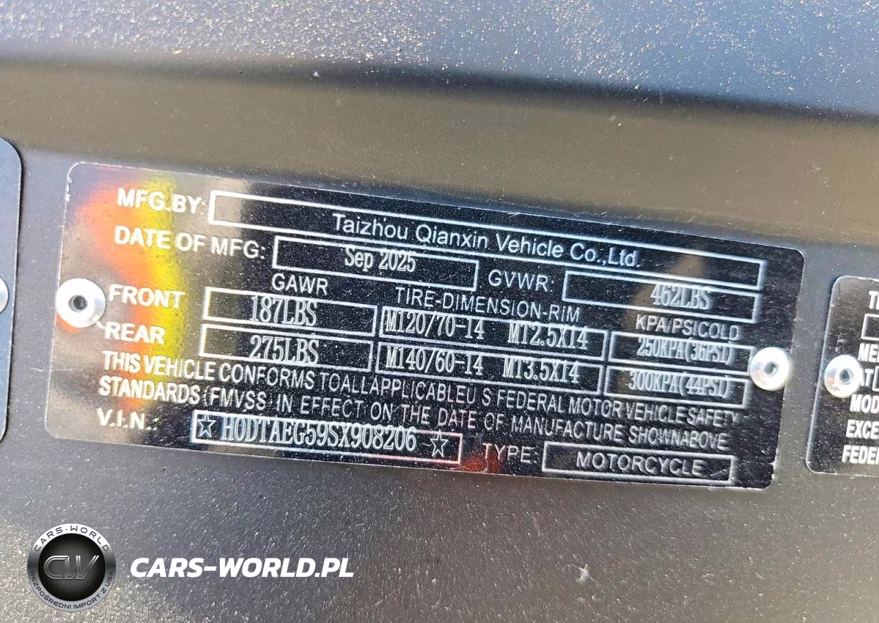 2025 Feng Dragon VIN:H0DTAEG59SX908206 - 9