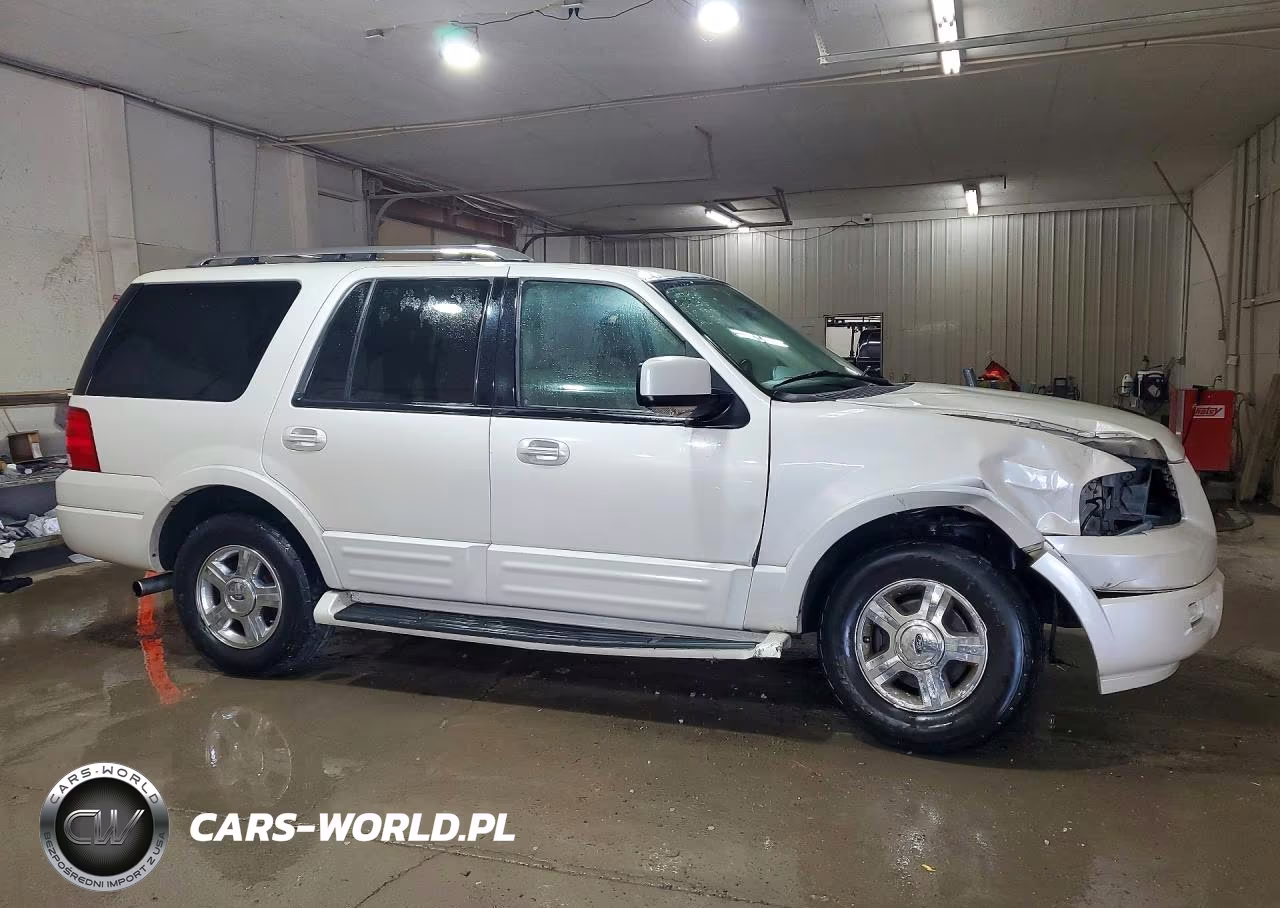 2005 Ford Expedition Limited VIN:1FMFU19555LB09655 - 4