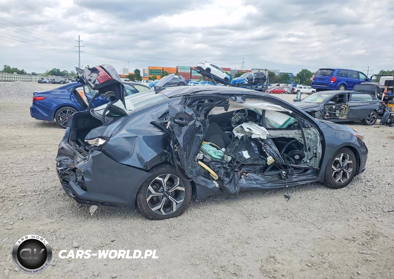 2019 Kia Forte Lxs VIN:3KPF24AD0KE130626 - 3