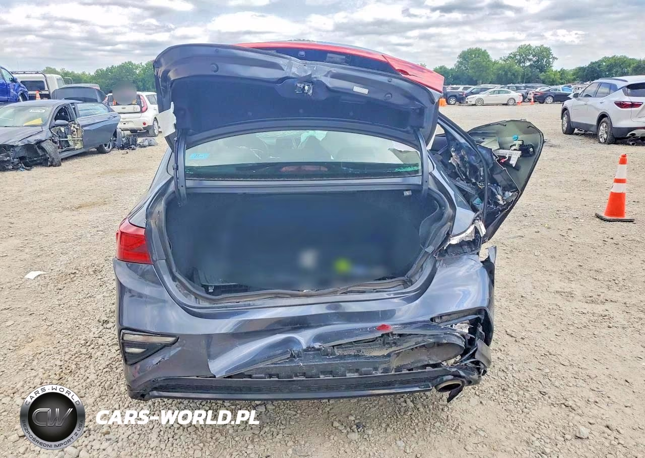 2019 Kia Forte Lxs VIN:3KPF24AD0KE130626 - 6