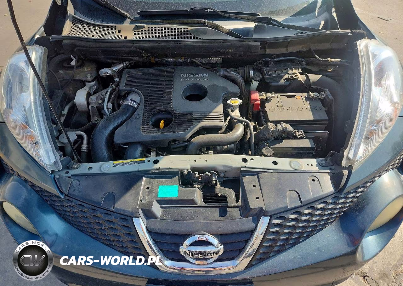 2011 Nissan Juke S-Sv-Sl VIN:JN8AF5MRXBT013515 - 12