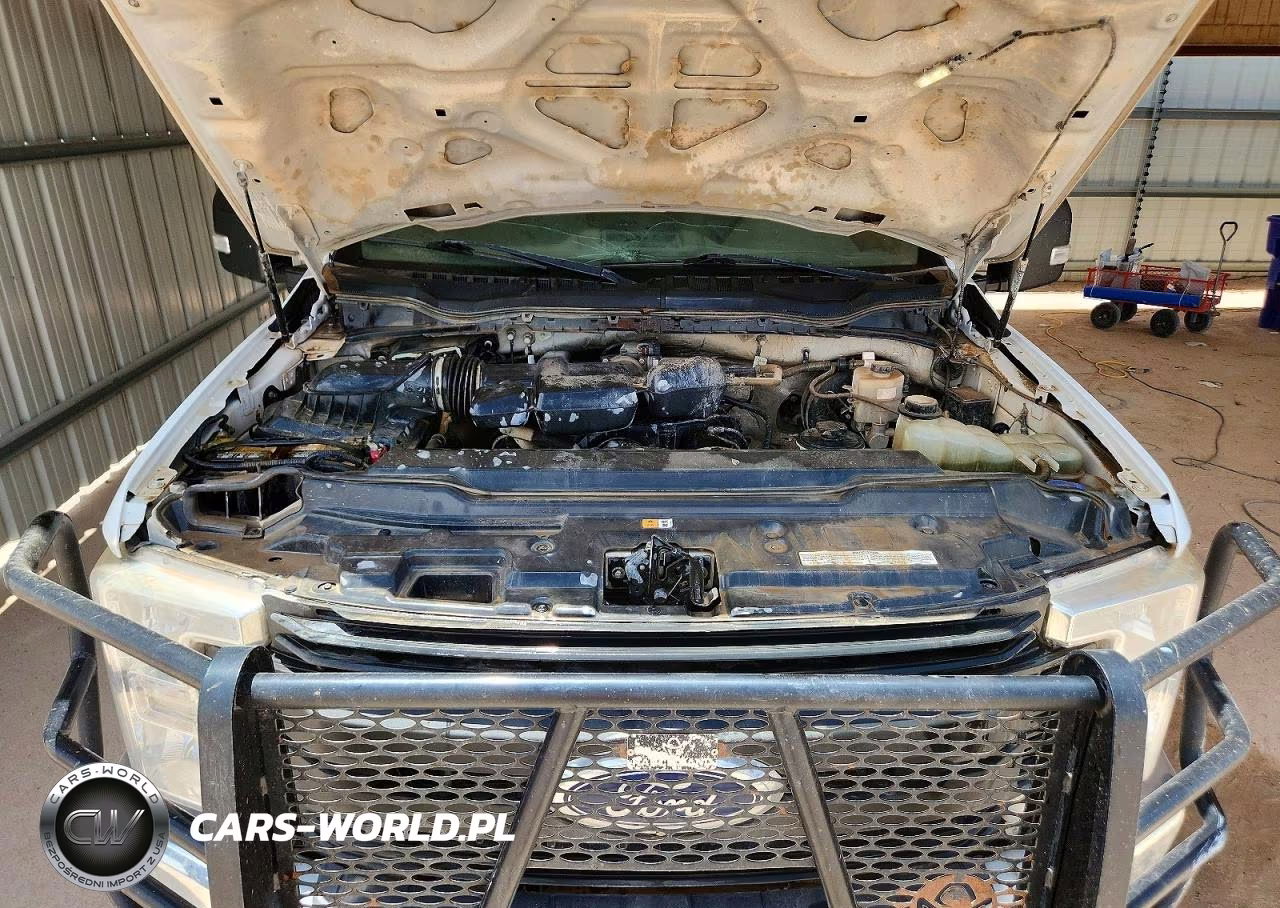 2019 Ford F250 Super Duty VIN:1FT7W2B61KED82362 - 11