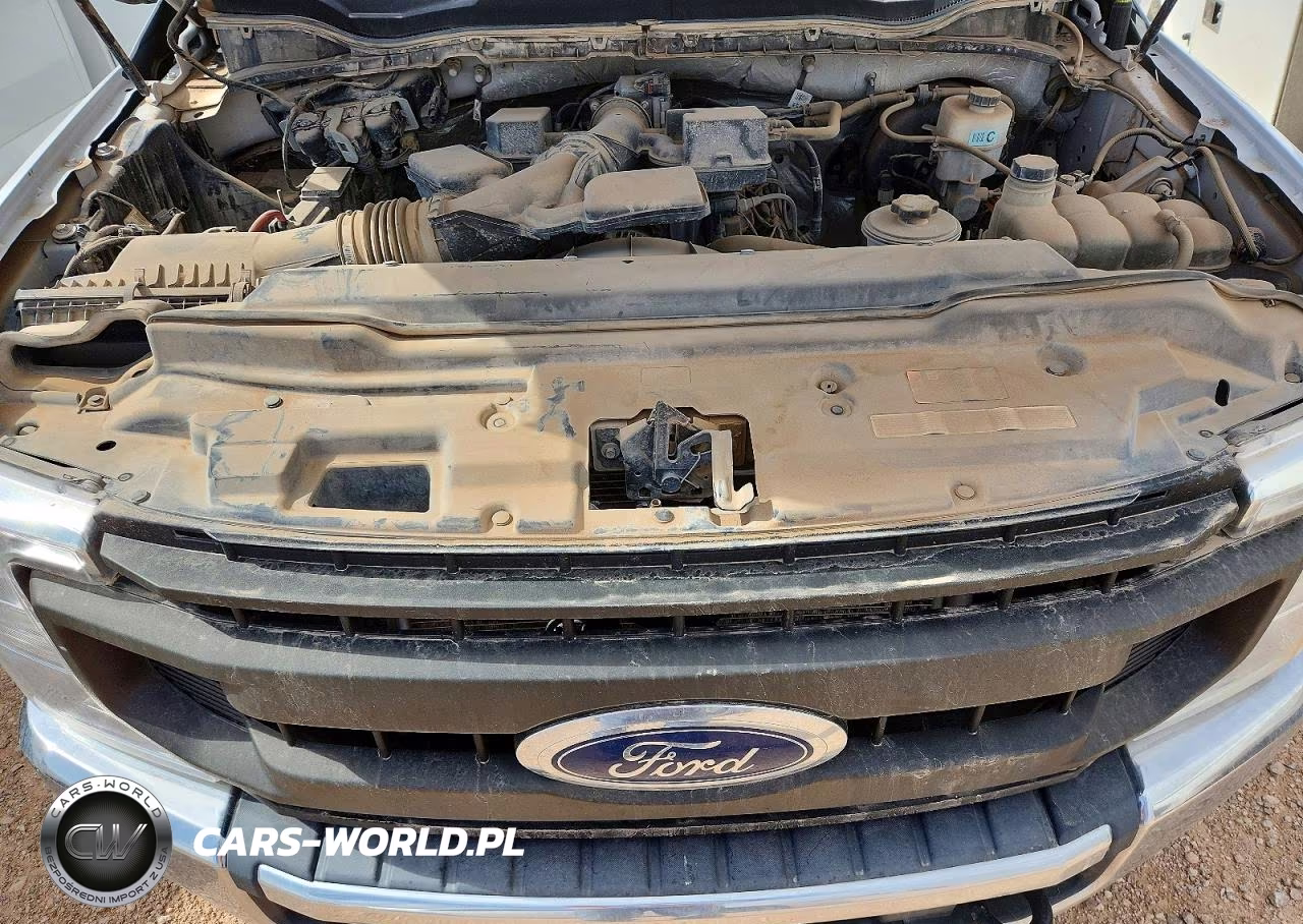 2021 Ford F250 Super Duty VIN:1FT7X2B64MED14914 - 11