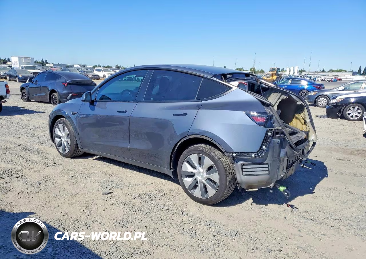 2022 Tesla Model Y VIN:7SAYGDEE1NF310907 - 2