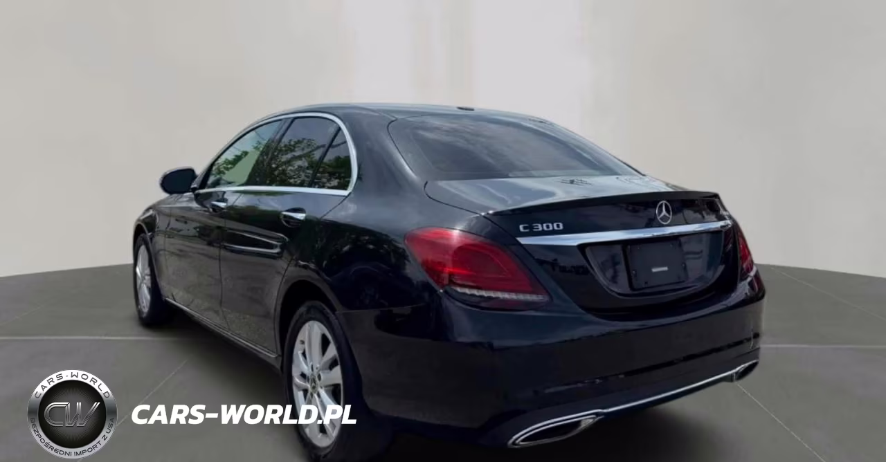 2019 Mercedes-Benz C 300 4Matic VIN:55SWF8EB0KU315837 - 3