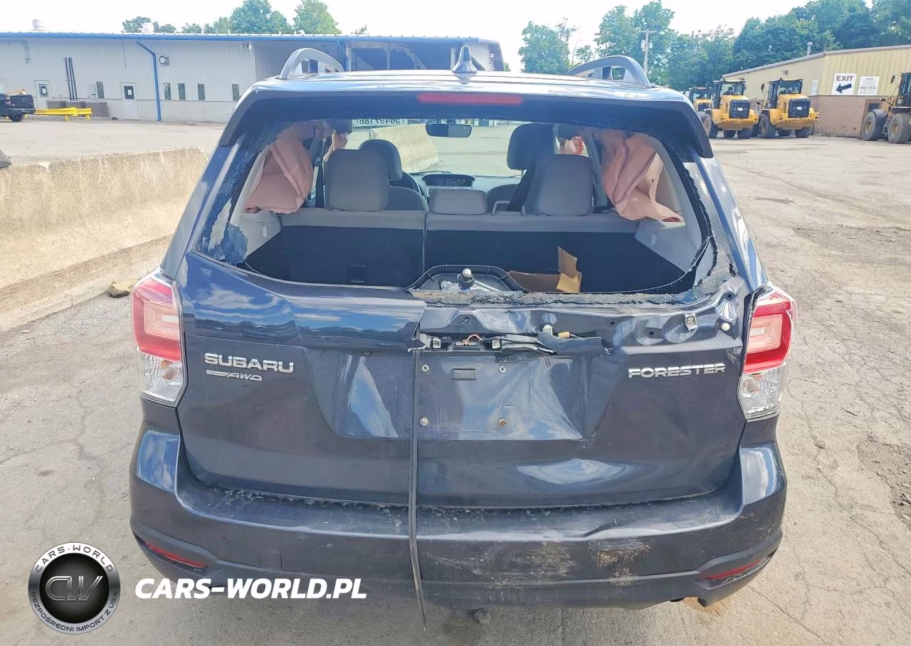 2017 Subaru Forester 2.5I Premium VIN:JF2SJAEC8HH529435 - 6