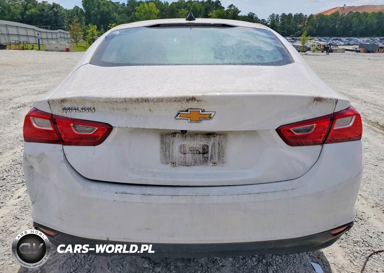 2023 Chevrolet Malibu Ls VIN:1G1ZC5ST2PF116822 - 6