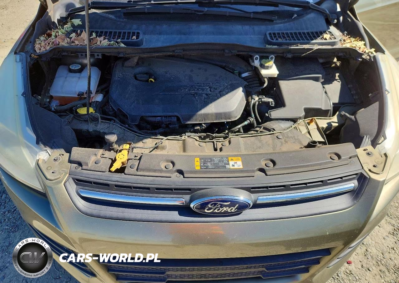 2013 Ford Escape Se VIN:1FMCU0GX8DUB15654 - 12