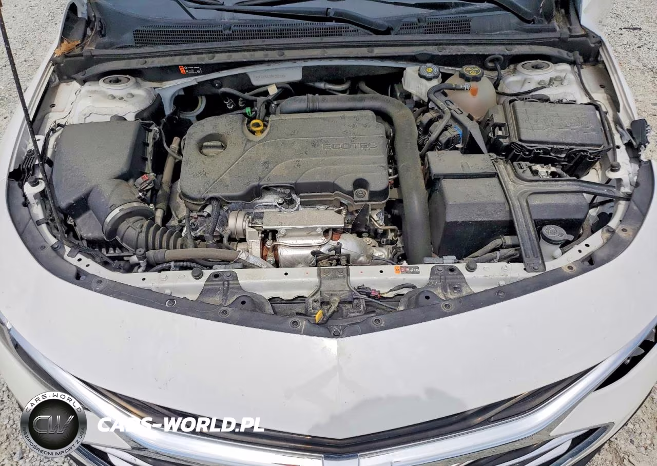 2023 Chevrolet Malibu Ls VIN:1G1ZC5ST7PF207200 - 11