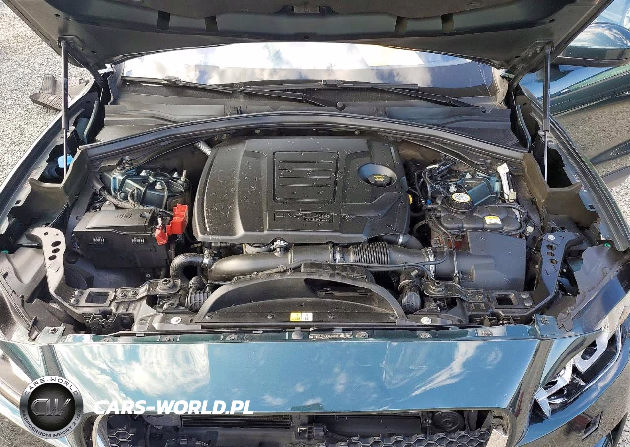 2018 Jaguar F-Pace Premium VIN:SADCJ2FX4JA294481 - 12