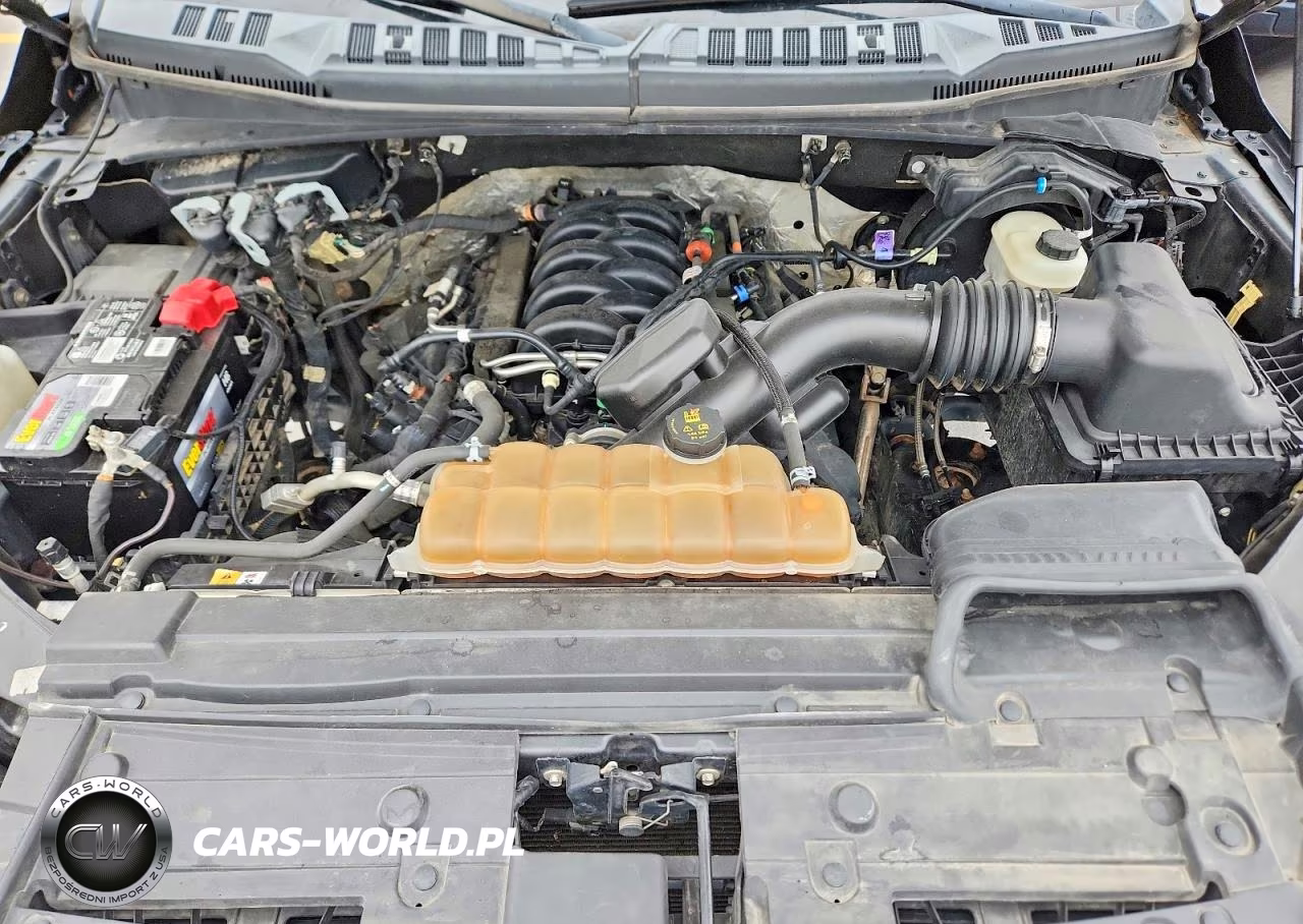 2019 Ford F150 Supercrew VIN:1FTEW1E58KKC75833 - 11