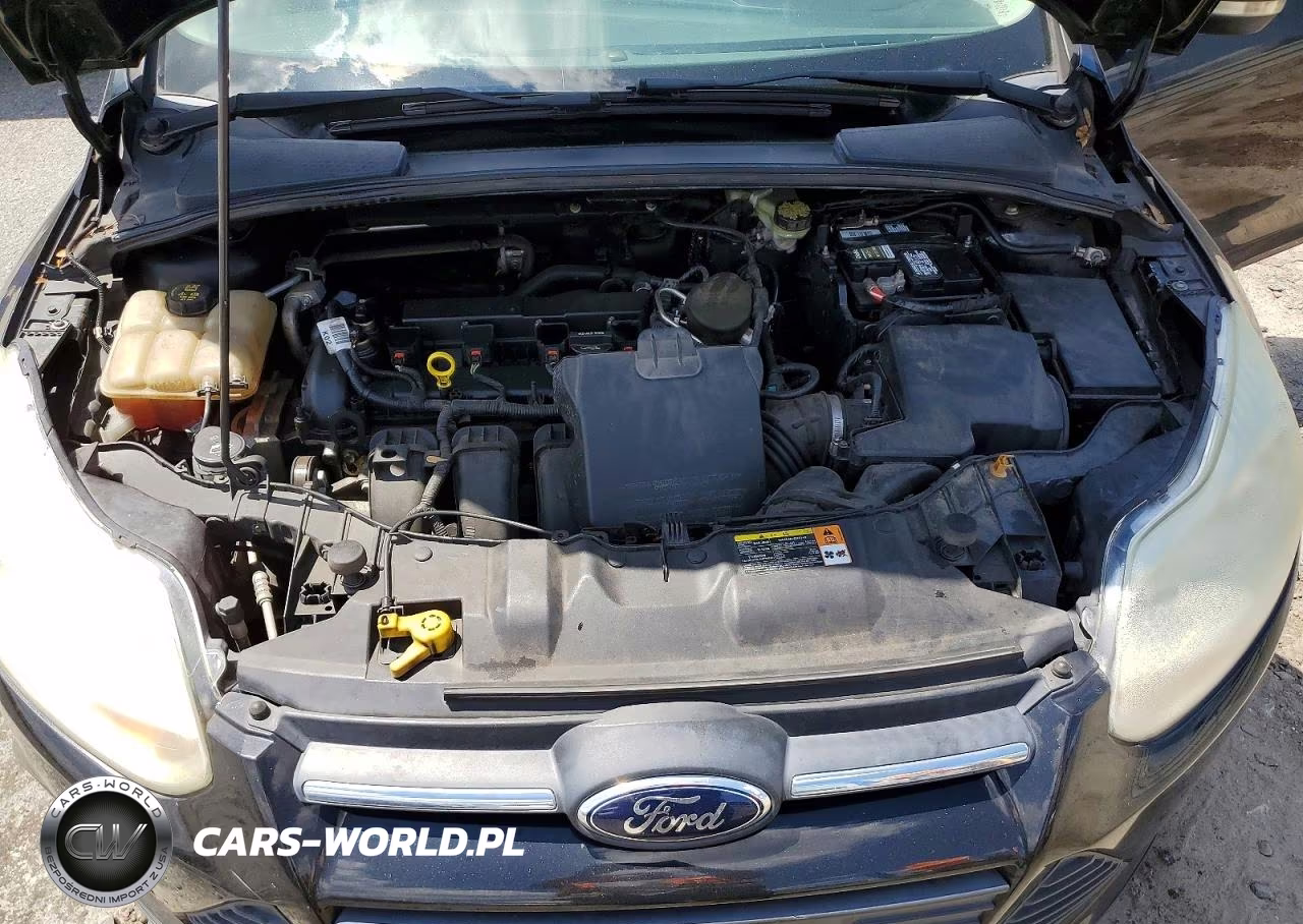2014 Ford Focus Se VIN:1FADP3F23EL261111 - 11