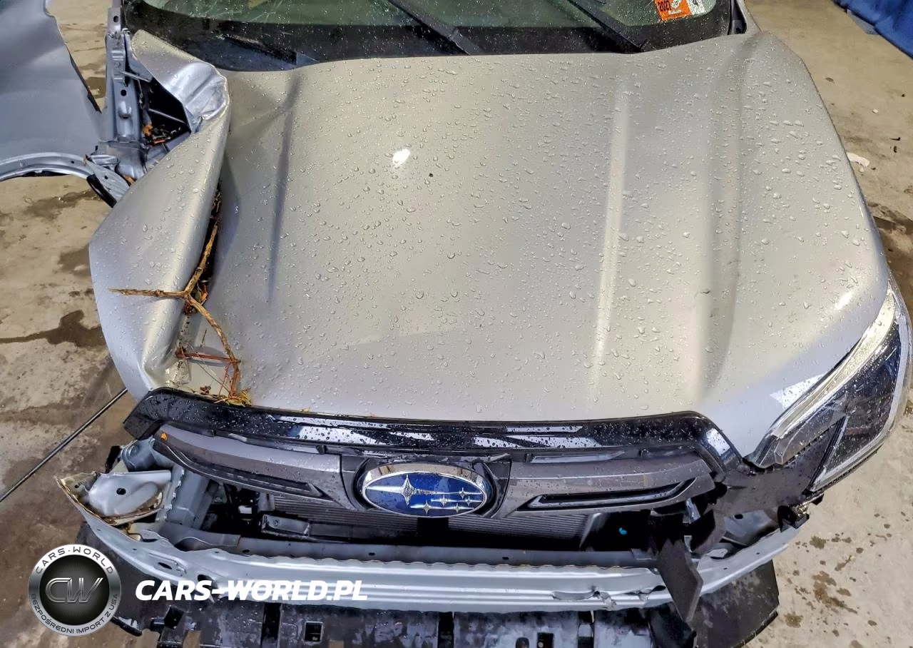 2023 Subaru Forester Limited VIN:JF2SKAPC8PH456933 - 12