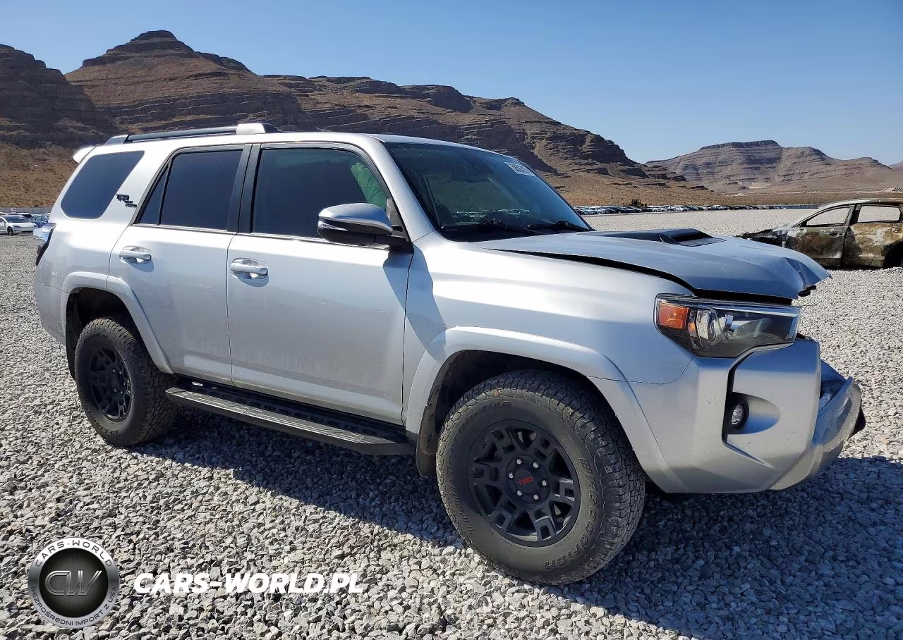 2021 Toyota 4Runner Trd Off-Road Premium VIN:JTERU5JR6M5953645 - 4