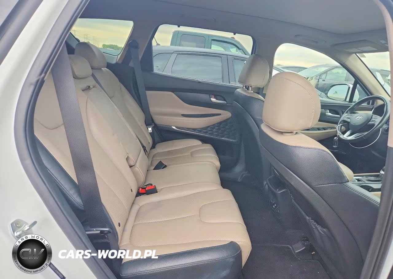 2019 Hyundai Santa Fe Ultimate 2.4L VIN:5NMS5CAD4KH130024 - 10