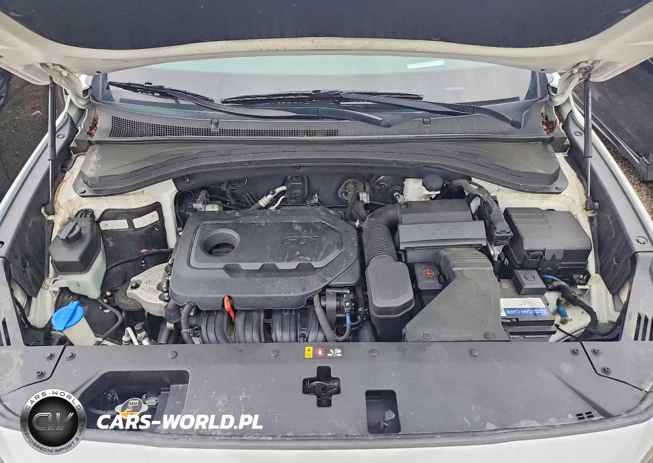 2019 Hyundai Santa Fe Ultimate 2.4L VIN:5NMS5CAD4KH130024 - 11