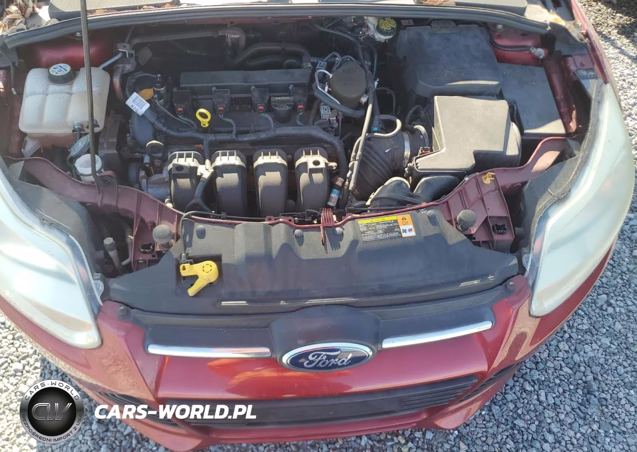 2019 Triumph Car Uk VIN:1FADP3F2XDL187426 - 11
