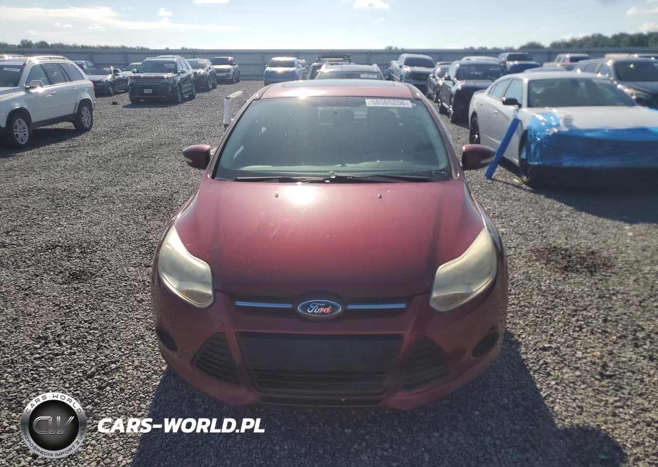 2019 Triumph Car Uk VIN:1FADP3F2XDL187426 - 5