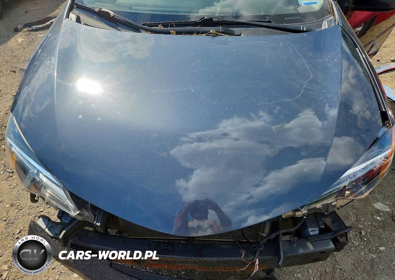2019 Toyota Corolla Le VIN:2T1BURHE0KC143623 - 11