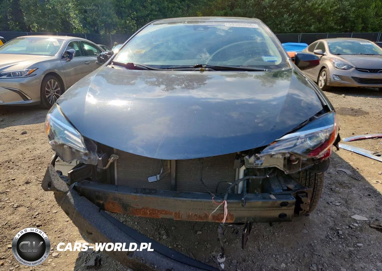2019 Toyota Corolla Le VIN:2T1BURHE0KC143623 - 5