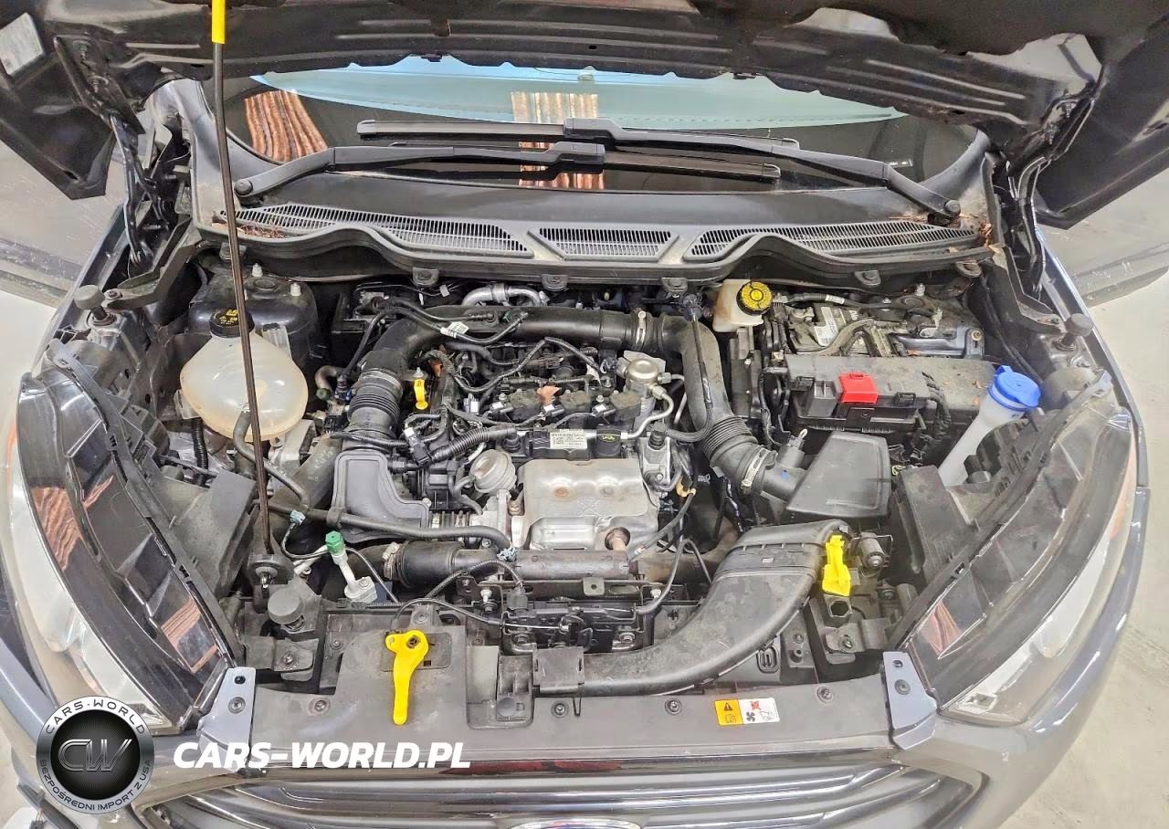 2021 Ford Ecosport S VIN:MAJ3S2FE1MC442611 - 12