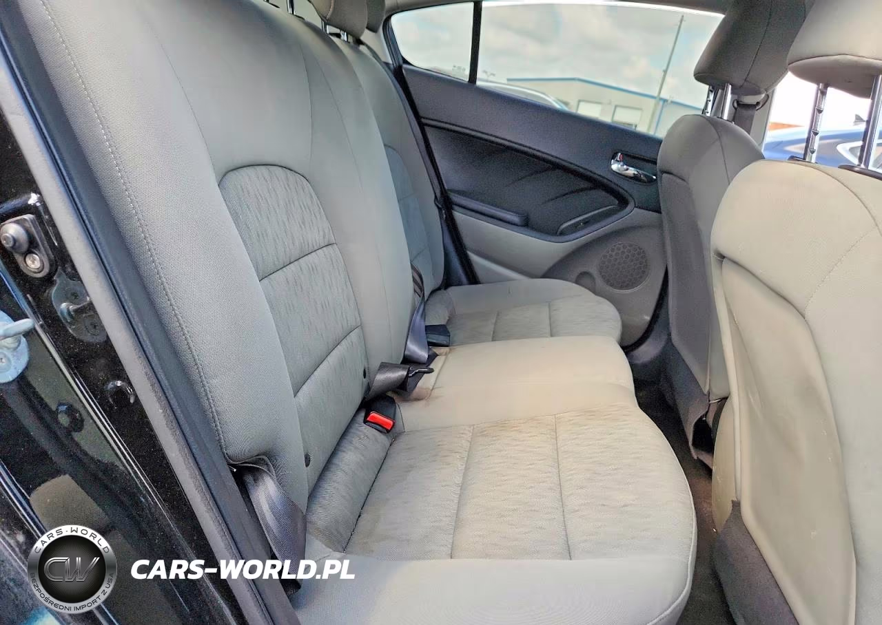 2016 Kia Forte Lx VIN:KNAFK4A61G5519583 - 10