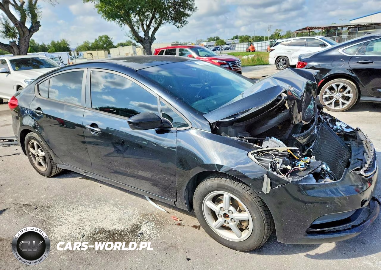 2016 Kia Forte Lx VIN:KNAFK4A61G5519583 - 4