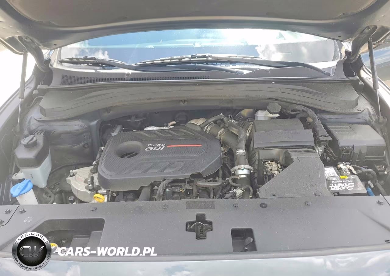 2020 Hyundai Santa Fe Limited 2.0T VIN:5NMS53AA6LH216118 - 12