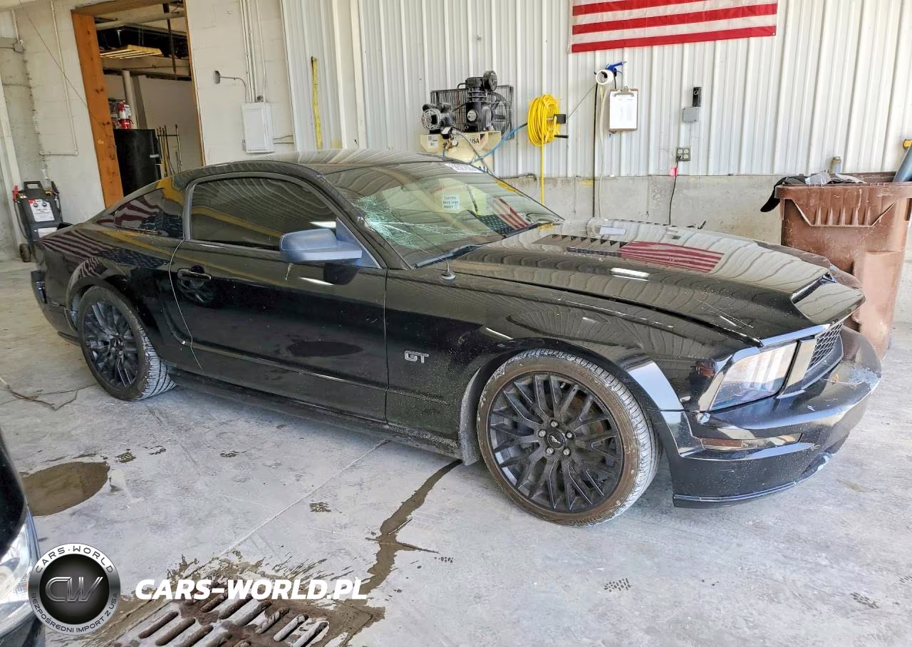 2005 Ford Mustang Gt VIN:1ZVFT82H655158739 - 4