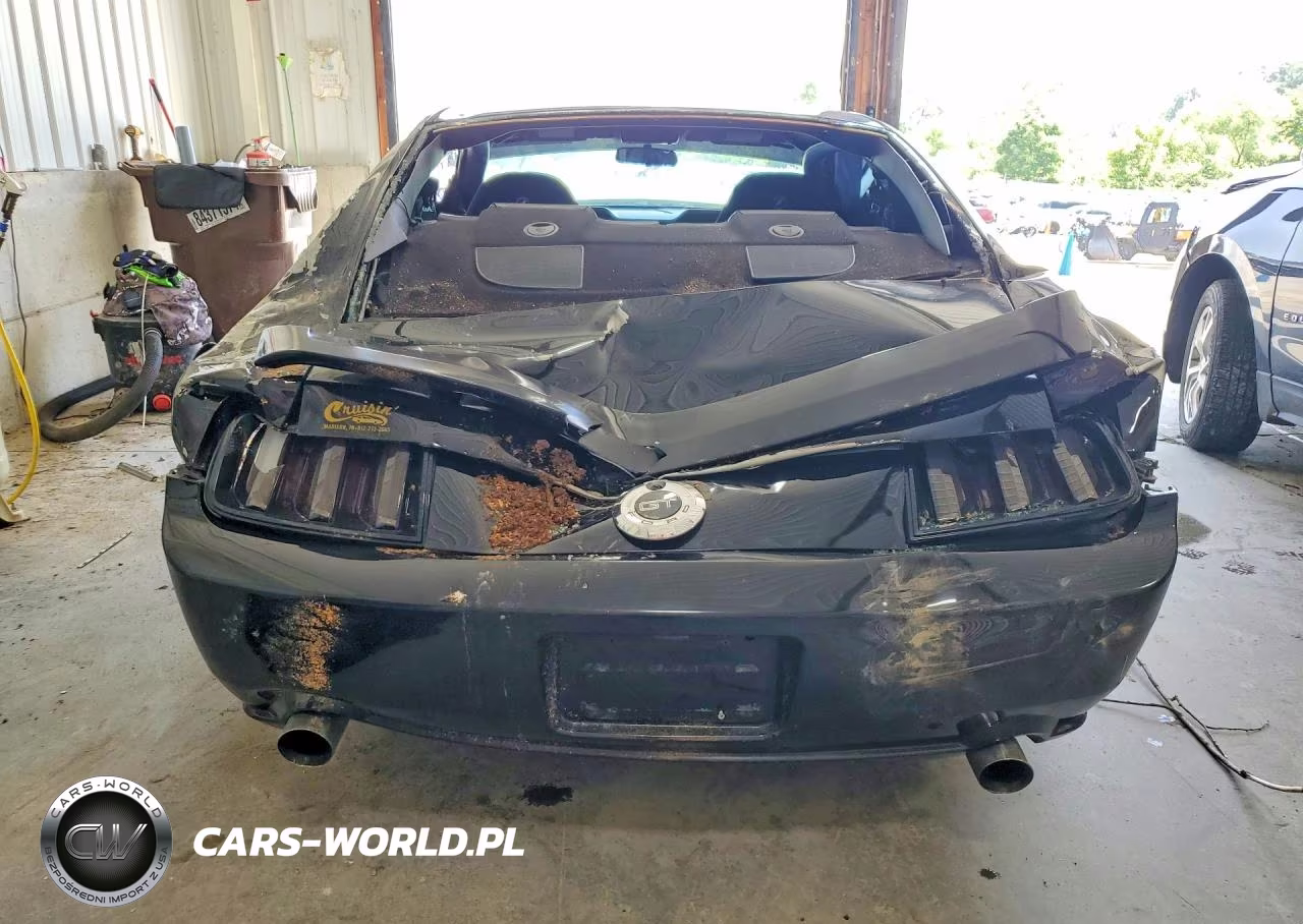 2005 Ford Mustang Gt VIN:1ZVFT82H655158739 - 6