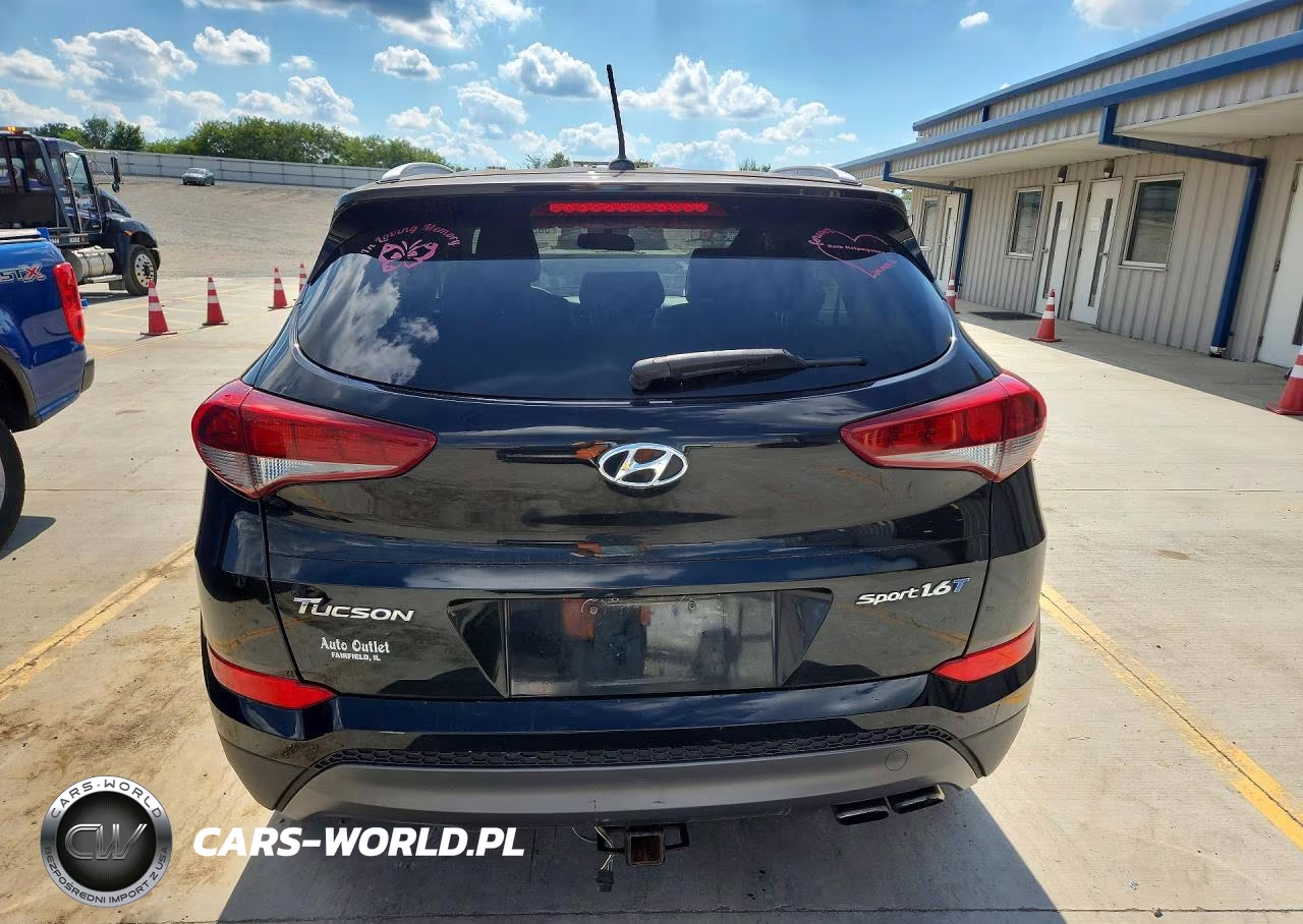 2016 Hyundai Tucson Sport VIN:KM8J33A25GU044734 - 6