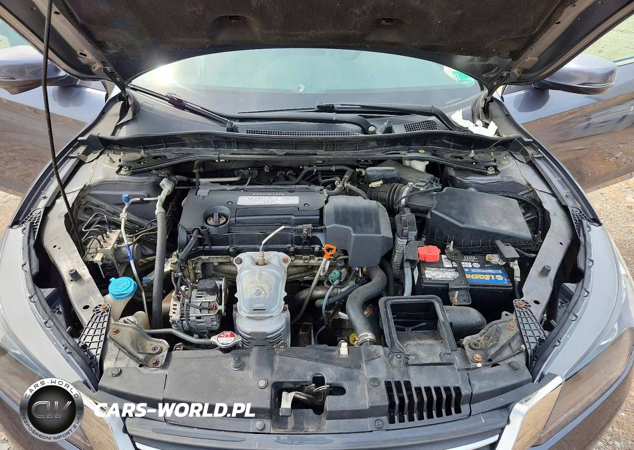 2013 Honda Accord Exl VIN:1HGCR2F84DA138217 - 11