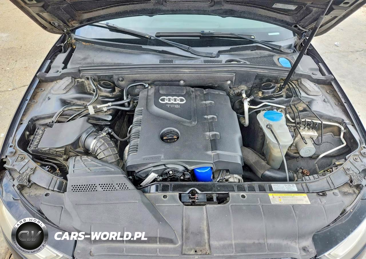 2013 Audi A4 Premium VIN:WAUAFAFL0DA162489 - 11