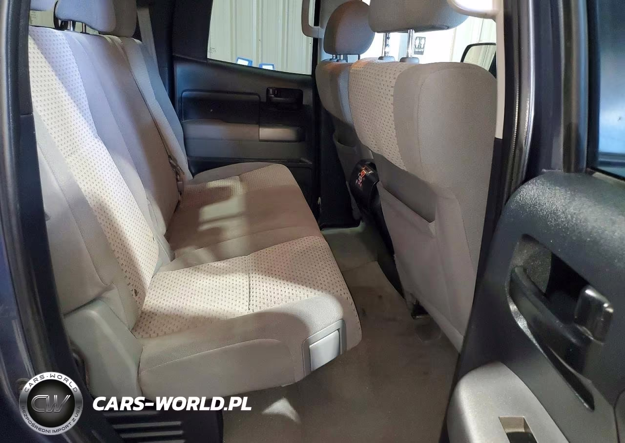 2010 Toyota Tundra Double Cab Sr5 VIN:5TFUW5F15AX117336 - 10