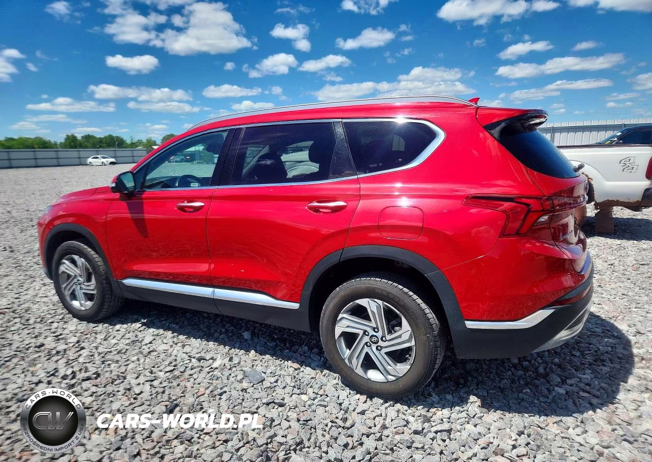 2023 Hyundai Santa Fe Sel Premium VIN:5NMS3DAJ1PH513394 - 2