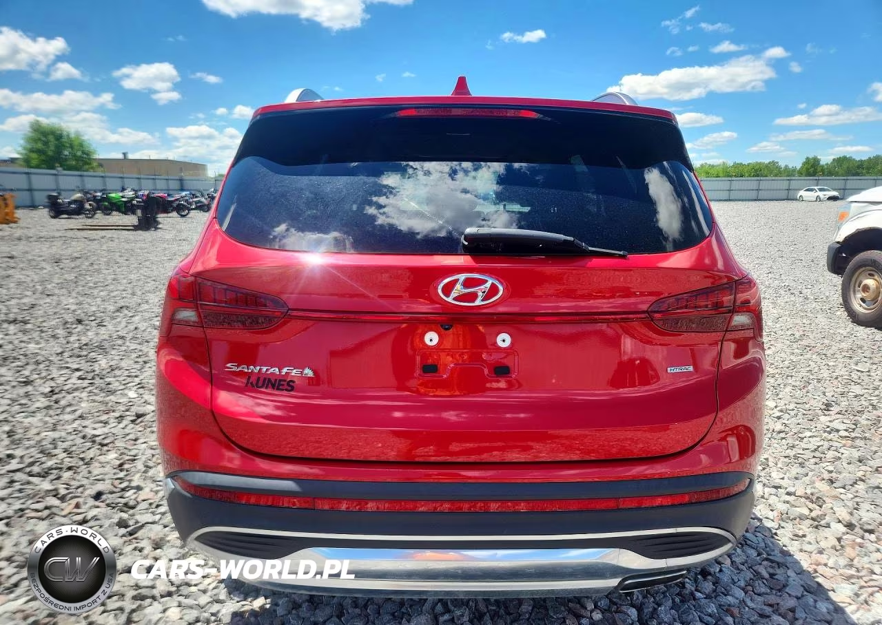 2023 Hyundai Santa Fe Sel Premium VIN:5NMS3DAJ1PH513394 - 6