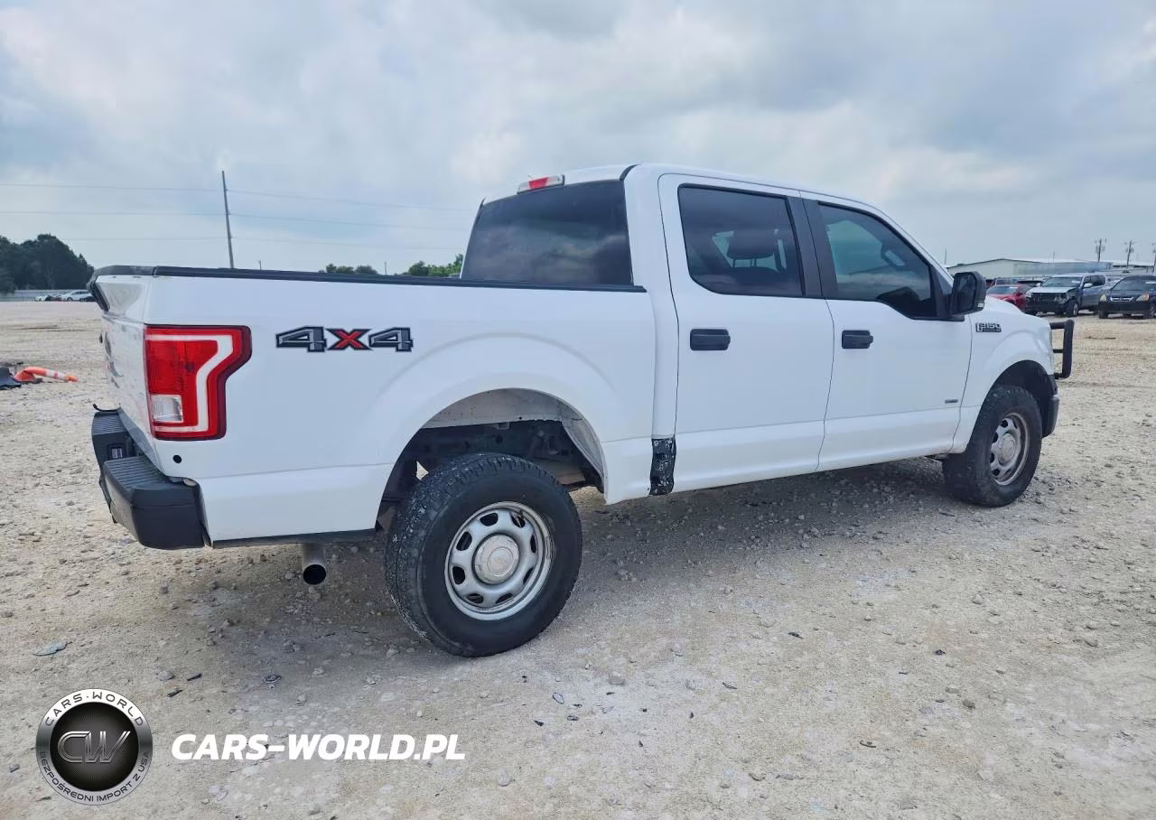 2017 Ford F150 Supercrew VIN:1FTEW1EG4HKD34810 - 3
