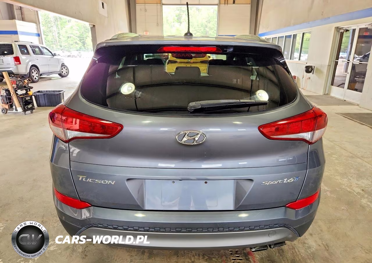 2016 Hyundai Tucson Sport VIN:KM8J33A22GU183395 - 6