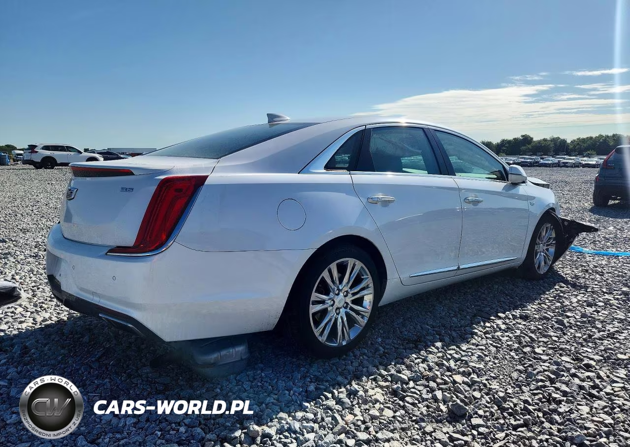 2019 Cadillac Xts Luxury VIN:2G61M5S37K9162314 - 3