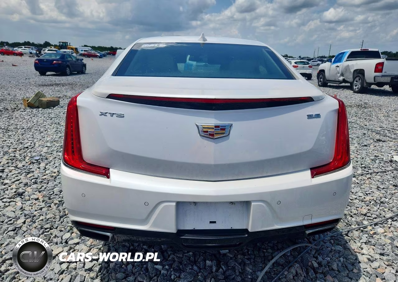 2019 Cadillac Xts Luxury VIN:2G61M5S37K9162314 - 6