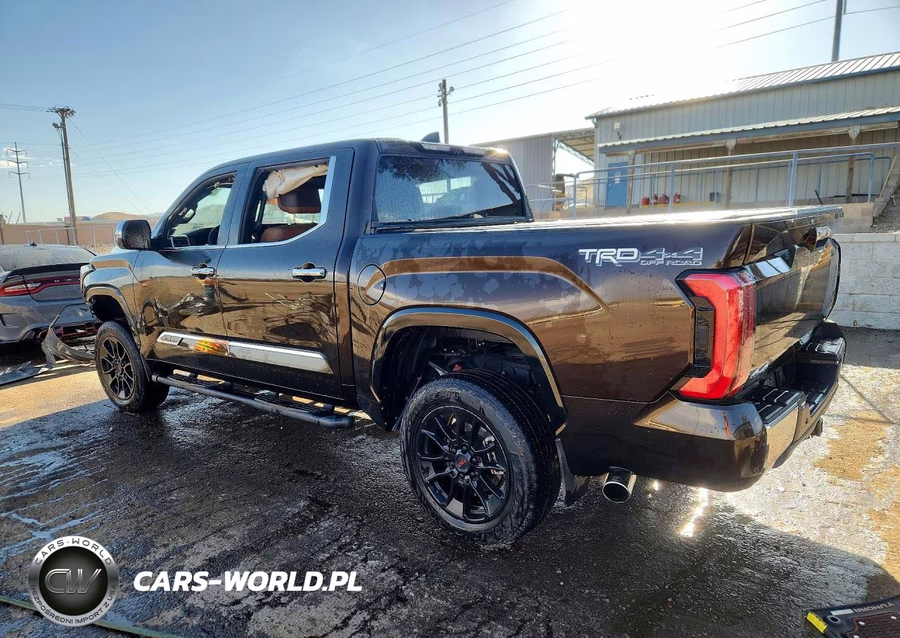 2025 Toyota Tundra 1794 Edition VIN:5TFMA5DB1SX268914 - 2