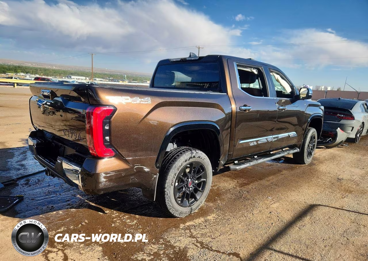 2025 Toyota Tundra 1794 Edition VIN:5TFMA5DB1SX268914 - 3