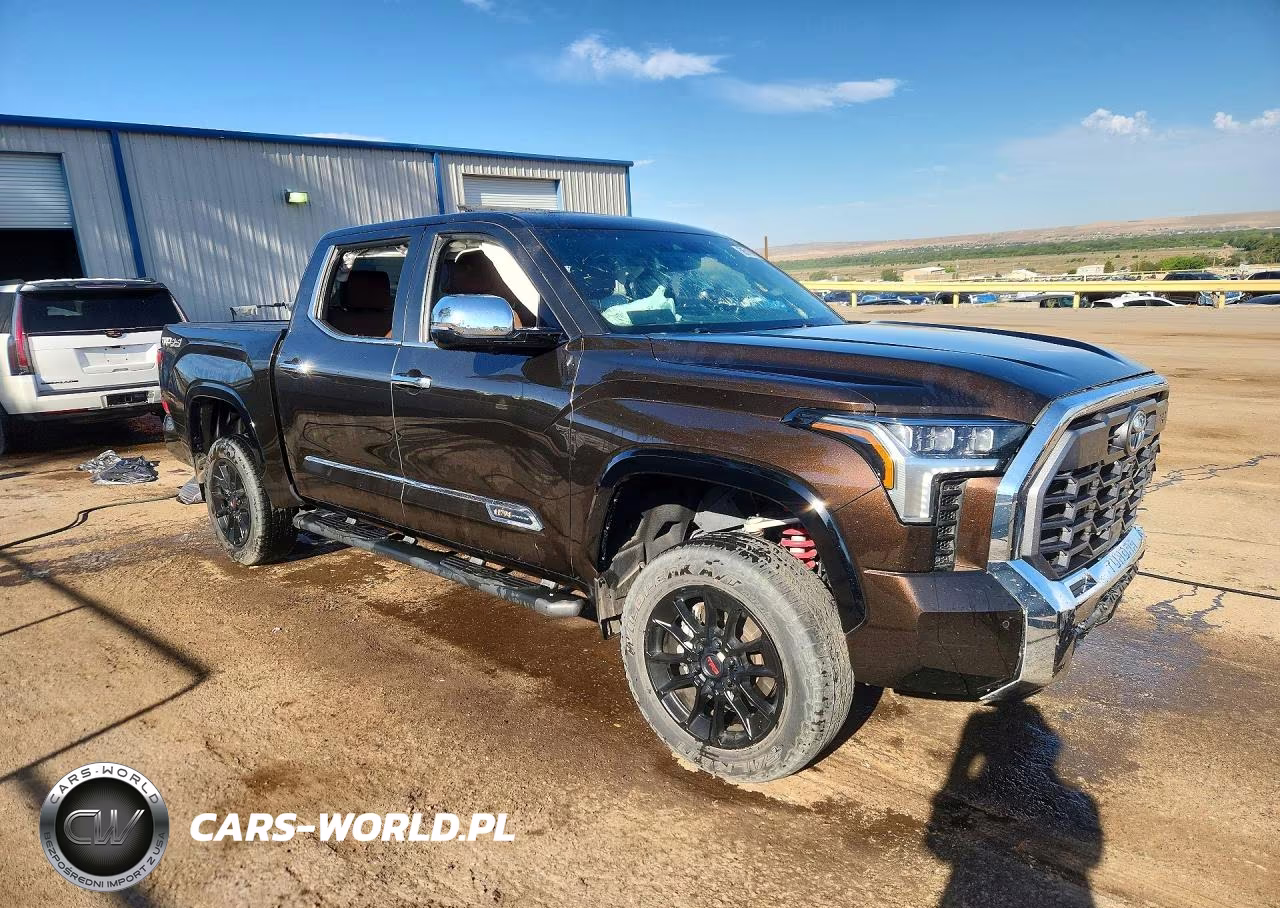 2025 Toyota Tundra 1794 Edition VIN:5TFMA5DB1SX268914 - 4