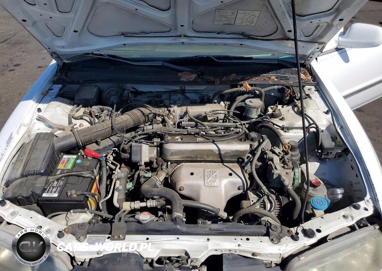 1996 Honda Accord Lx VIN:1HGCD5633TA301488 - 11