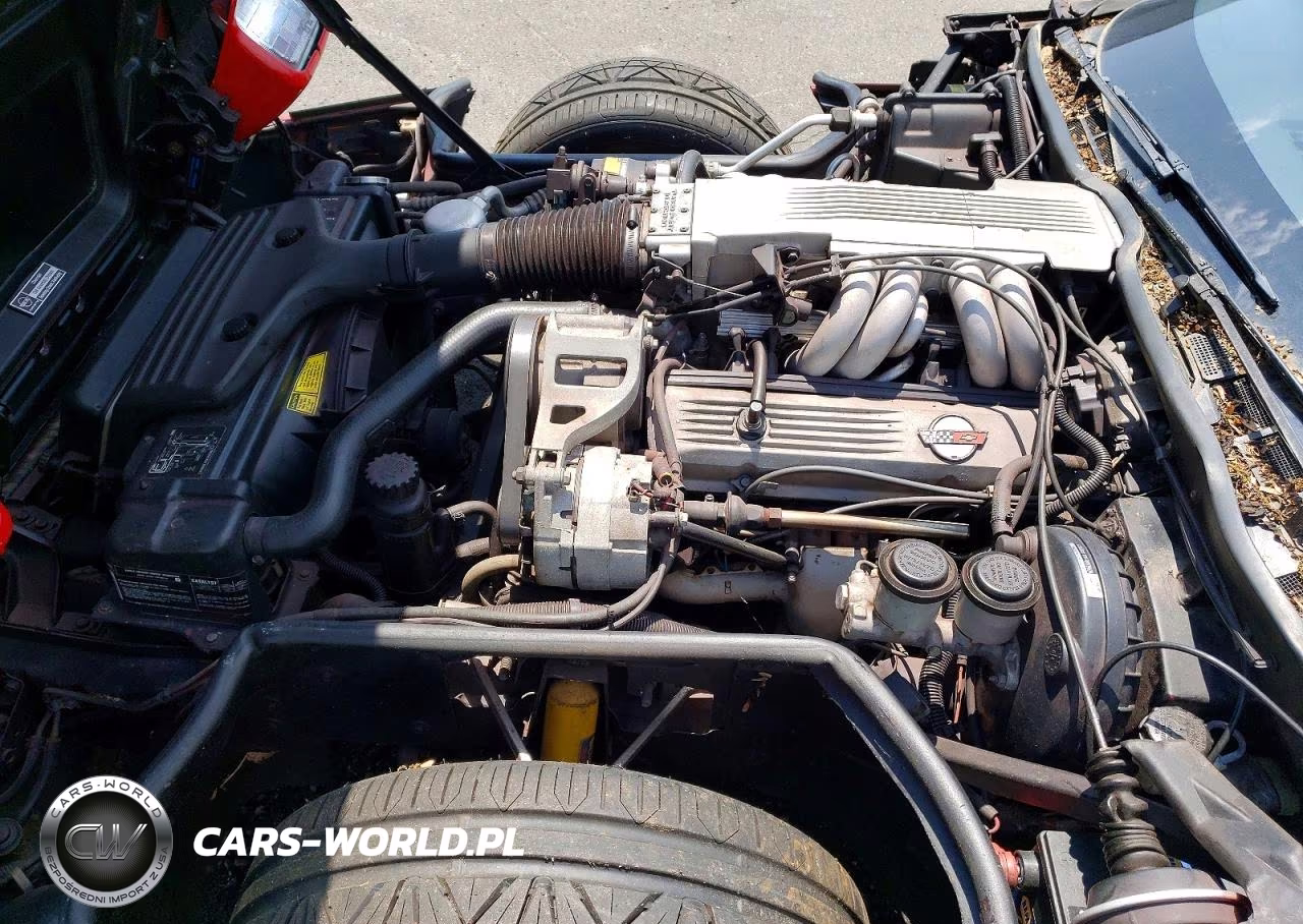 1985 Chev Corvette VIN:1G1YY0789F5124120 - 11