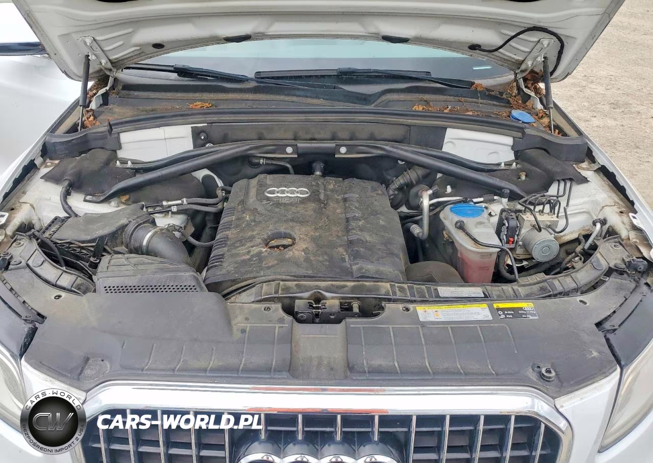 2016 Audi Q5 Premium Plus VIN:WA1L2AFP6GA050434 - 12