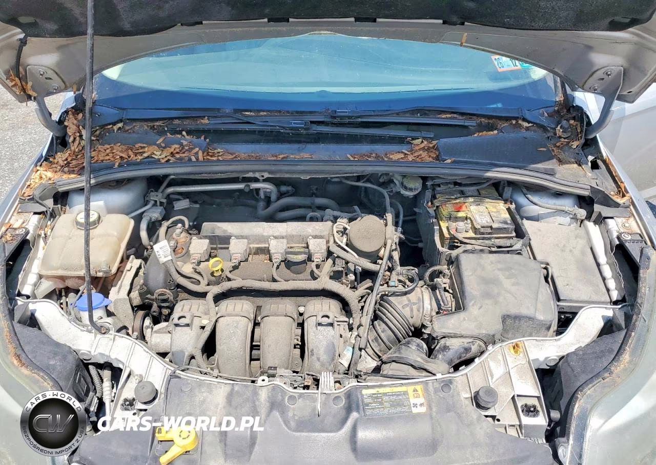 2013 Ford Focus Titanium VIN:1FADP3N28DL203043 - 11