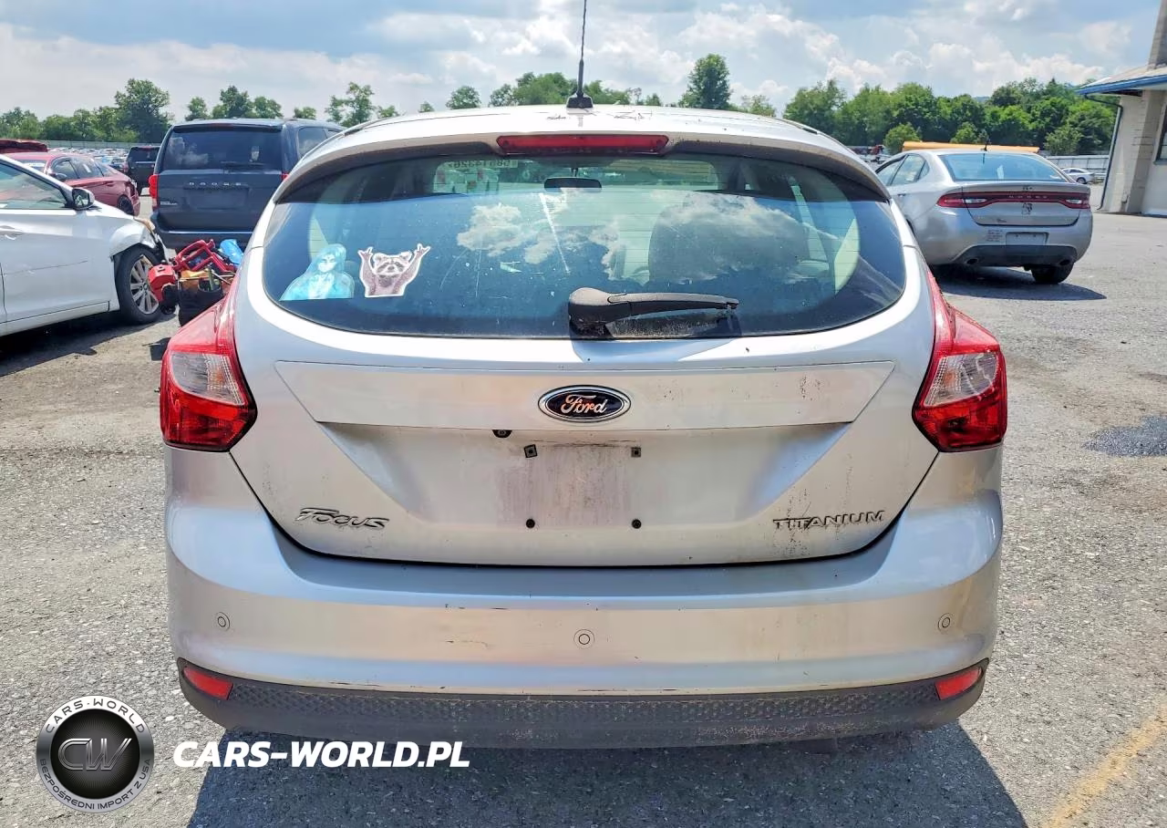 2013 Ford Focus Titanium VIN:1FADP3N28DL203043 - 6